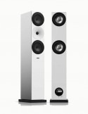 Boxe Amphion Argon 7LS