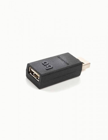 AudioQuest JitterBug