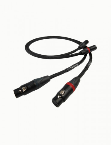 Cablu Interconect XLR Chord Signature Tuned ARAY