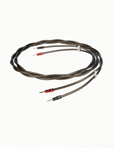 Cablu de Boxe Chord Epic XL
