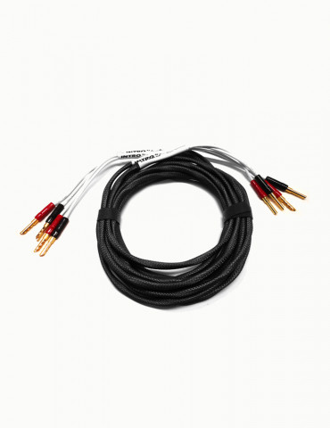 Black Rhodium Intro Speaker Cable