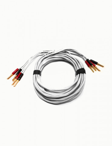 Black Rhodium Intro Speaker Cable