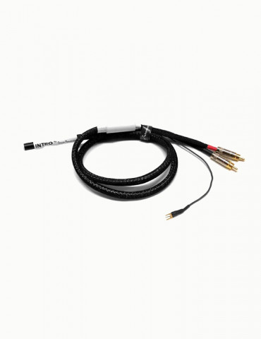 Black Rhodium Intro Phono DIN-RCA