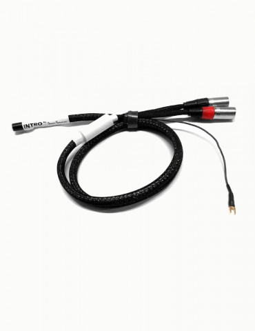 Black Rhodium Intro DIN-XLR