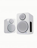 Boxe active Wharfedale DS-2