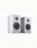 Polk Audio Reserve R100
