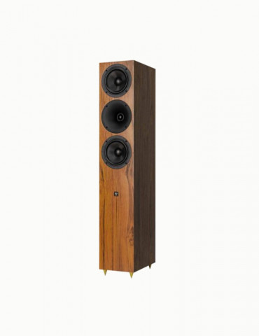 Wilson Studio 7