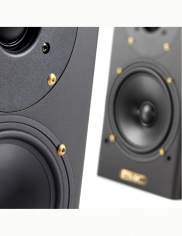 PMC DB1 Gold