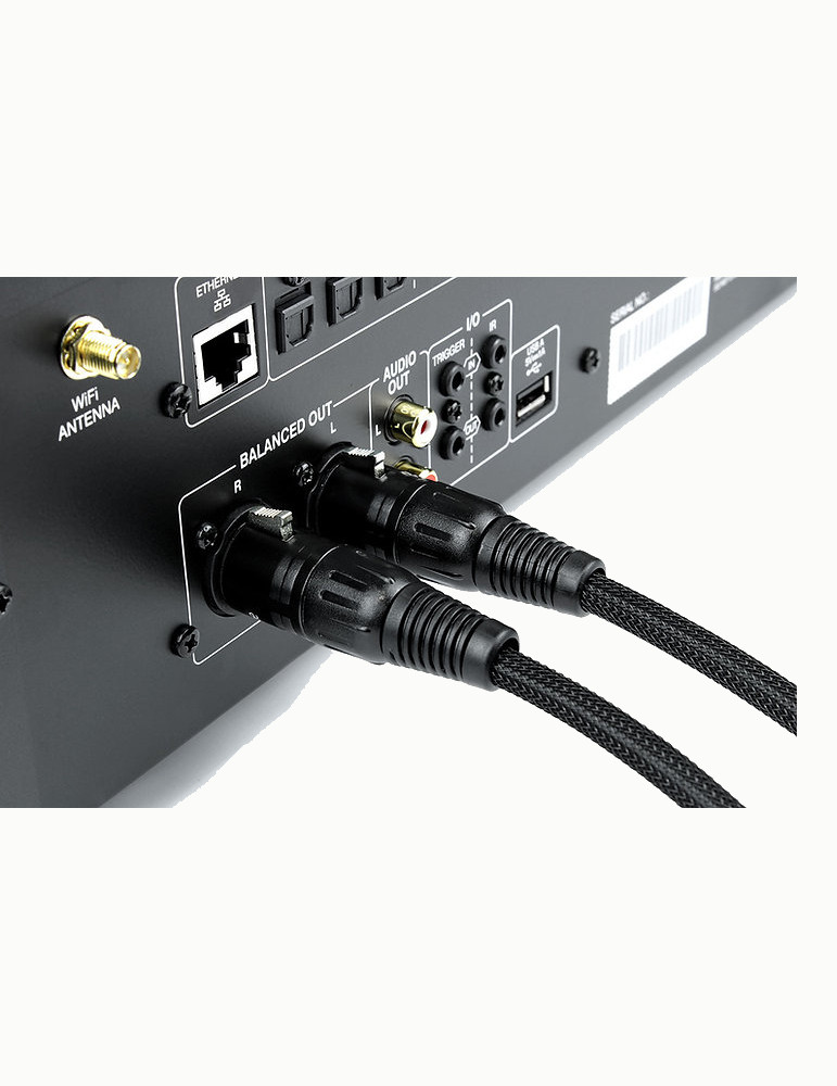 Norstone Arran XLR