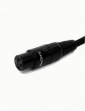 Norstone Arran XLR