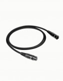 Norstone Arran XLR