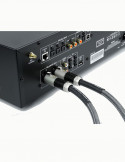 Norstone Jura XLR