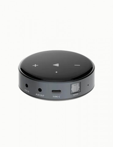 WM Multiroom WiiM mini