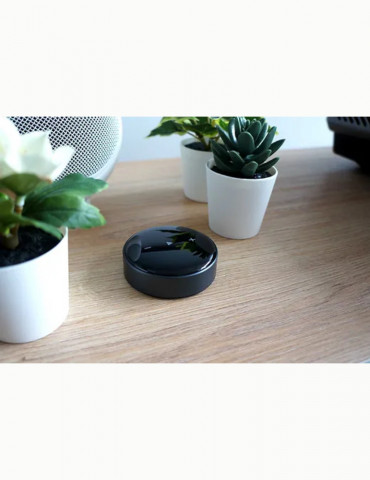 WM Multiroom WiiM mini