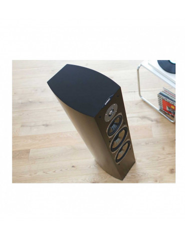 Boxe Quadral Ascent LE 80