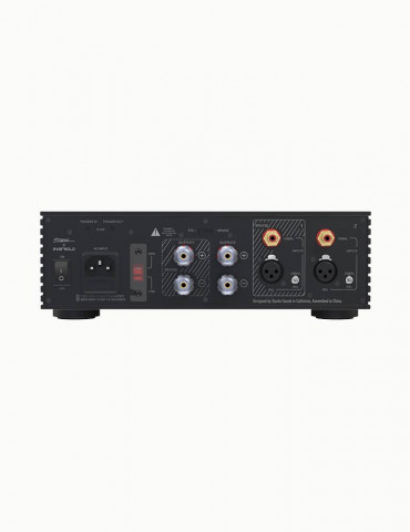 EverSolo AMP-F2