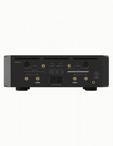 EverSolo AMP-F10