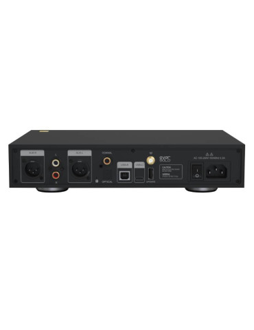 EverSolo DAC-Z8