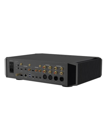 EverSolo DMP-A10