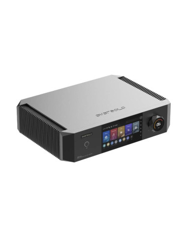 EverSolo DMP-A10