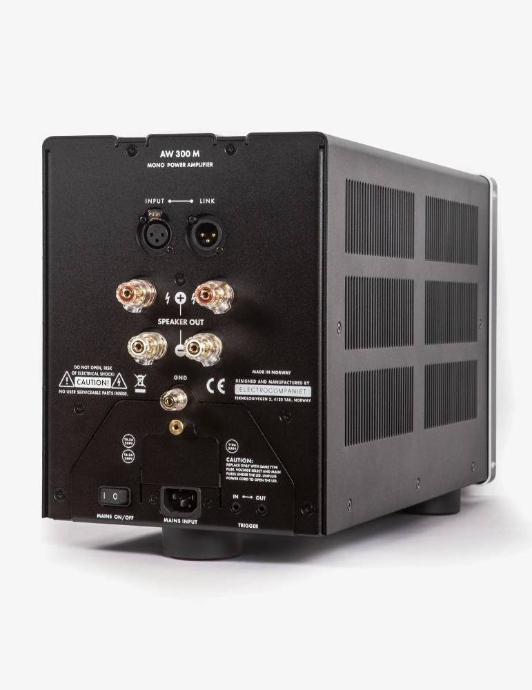 Electrocompaniet AW 300 M