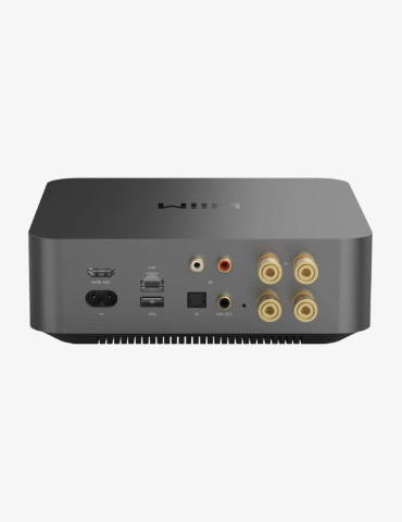 WiiM Amp Pro