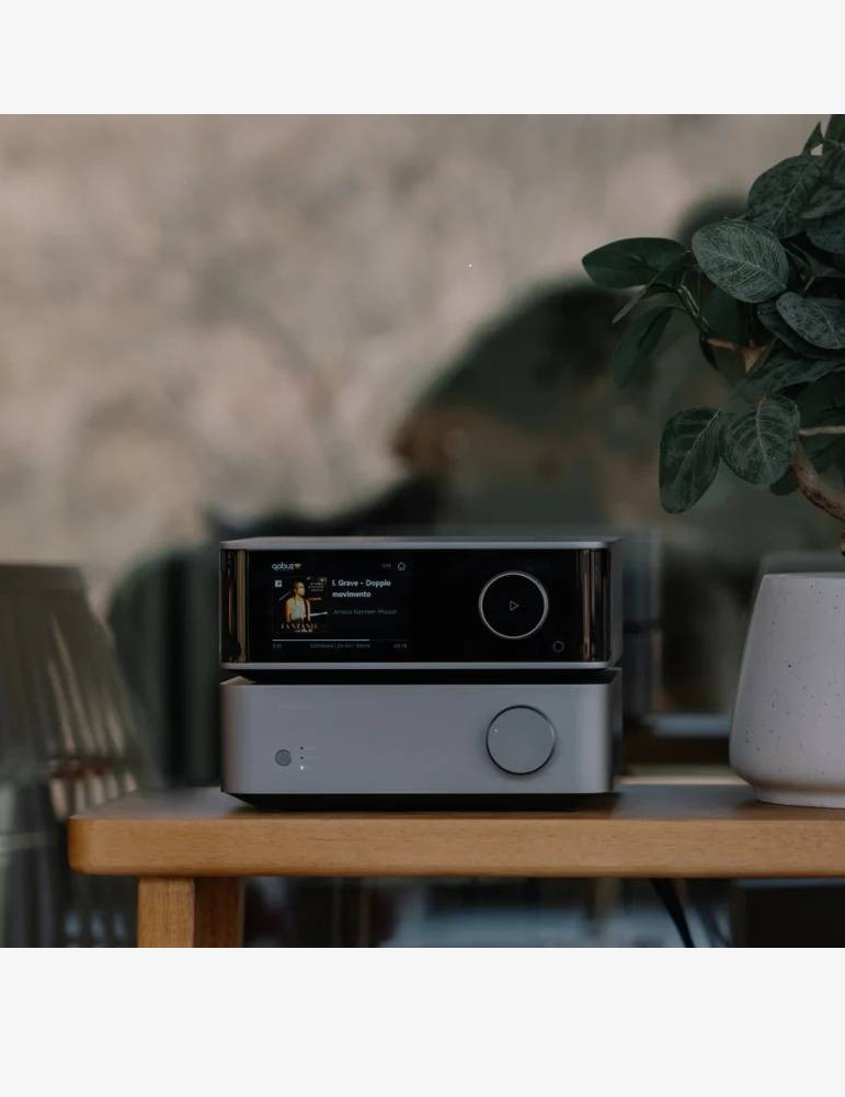WiiM Vibelink Amp