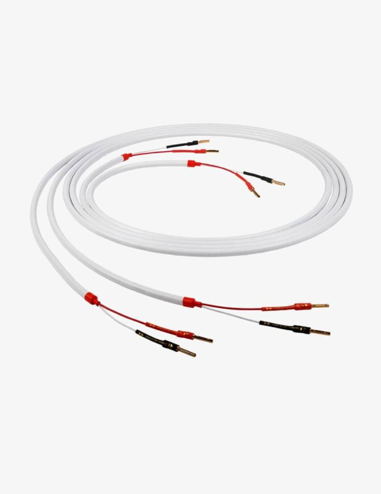 Cablu de Boxe Chord C-screen