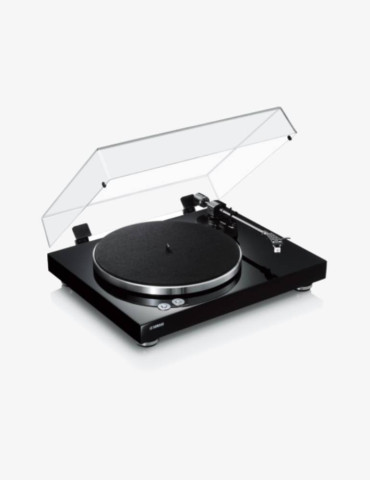 Pick-up Yamaha TT-S303