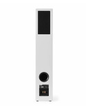 Tangent Spectrum II X6