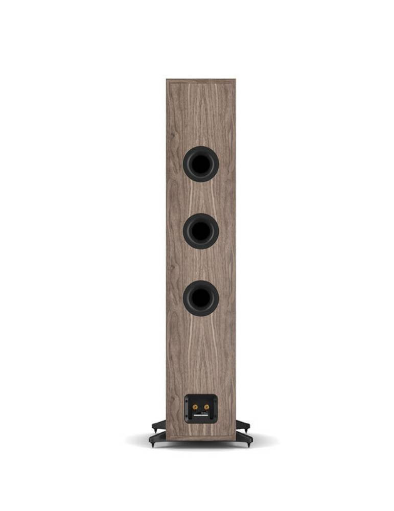 Dali Sonik 9 walnut spate