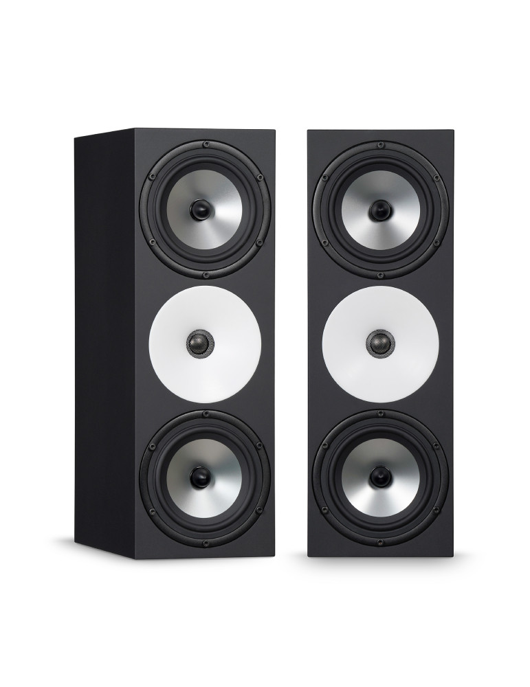 Amphion Two18X